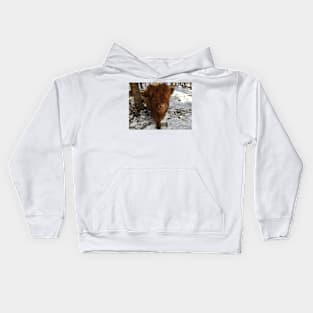 Scottish Highland Cattle Calf 1963 Kids Hoodie